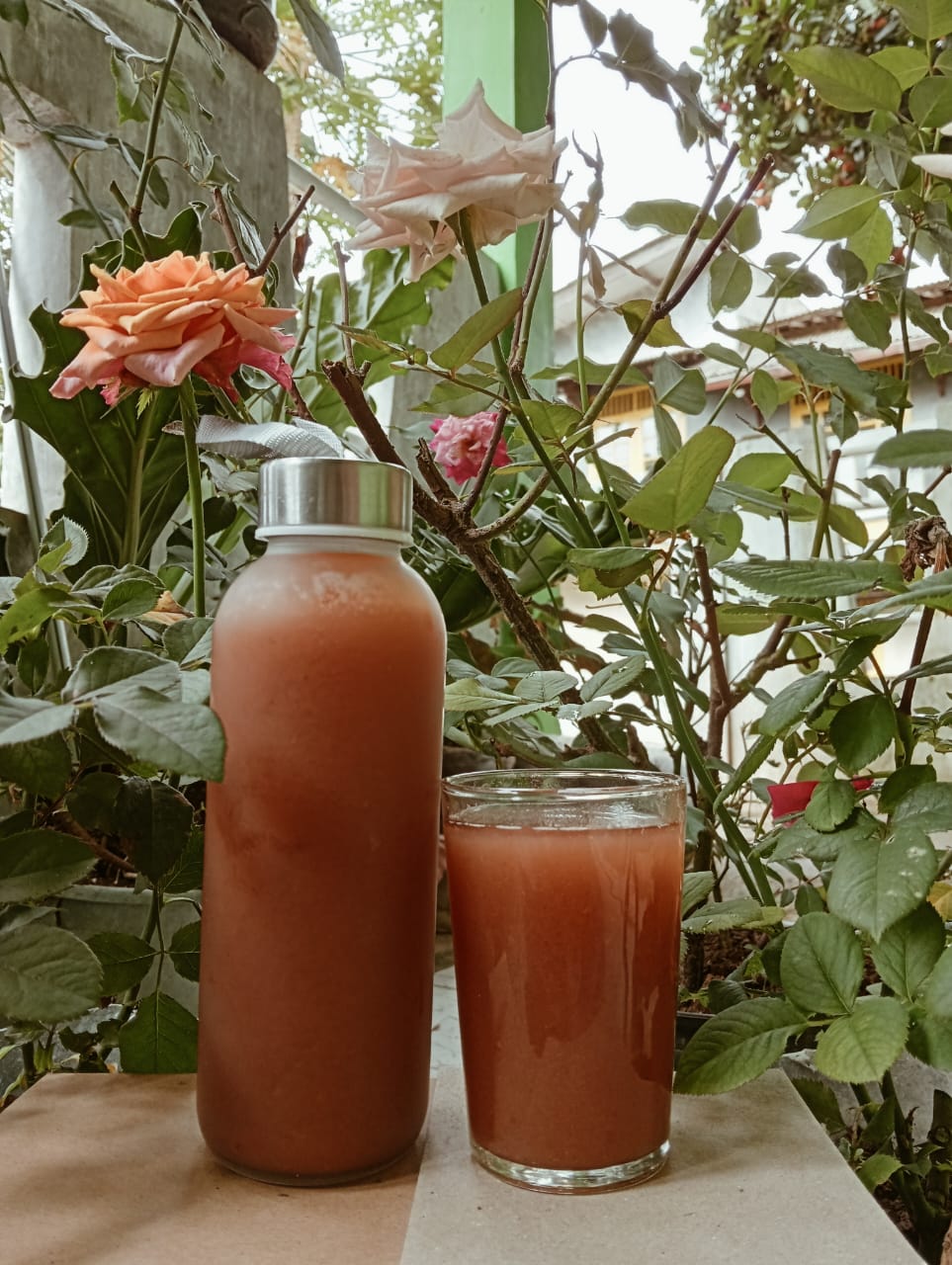 Mangrovita — Mangrove Innovation Product